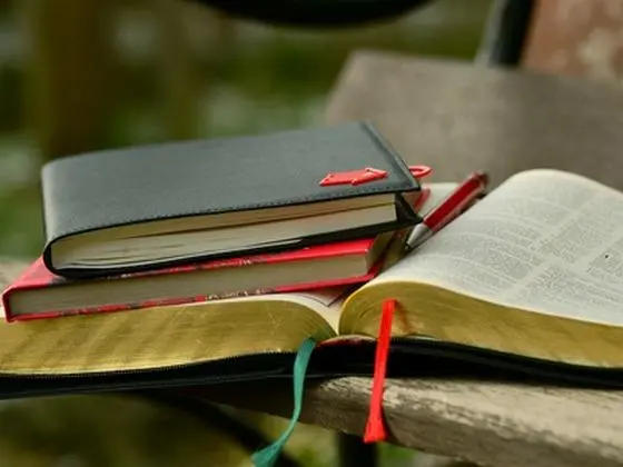 Primary_pic_collectionofbooks560 x420px.jpg