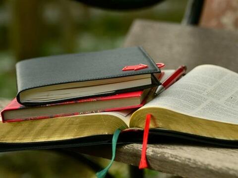 Primary_pic_collectionofbooks560 x420px.jpg Primary_pic_collectionofbooks560 x420px.jpg